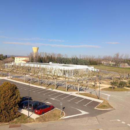 Chantier d’élagage à la Base Aérienne 115 d’Orange